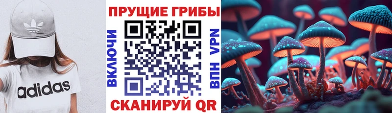 Псилоцибиновые грибы мухоморы  Выборг 