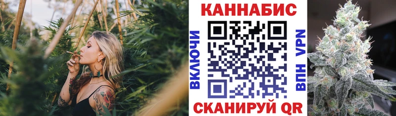 магазин продажи наркотиков Выборг Шишки марихуана AK-47